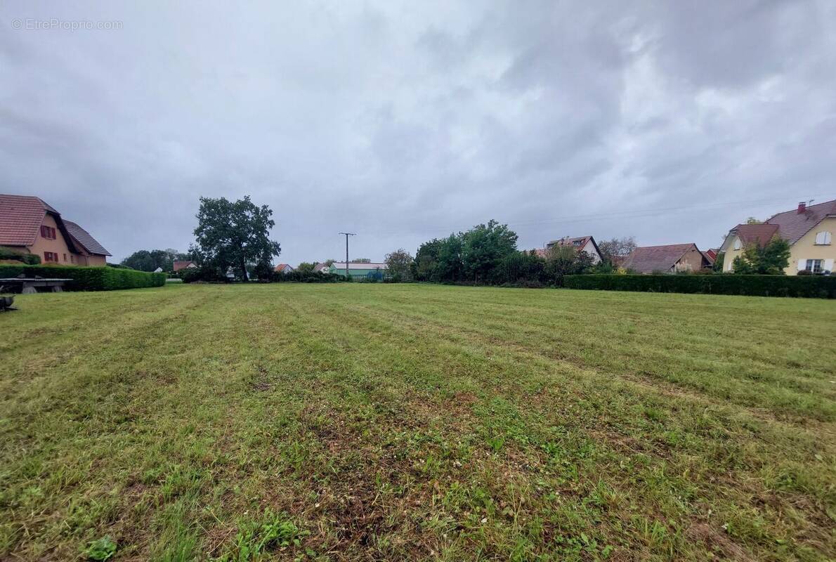 Terrain à URSCHENHEIM