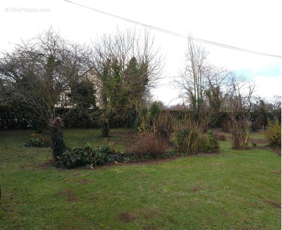 Photo 2 - Terrain à LOUVIGNE-DE-BAIS