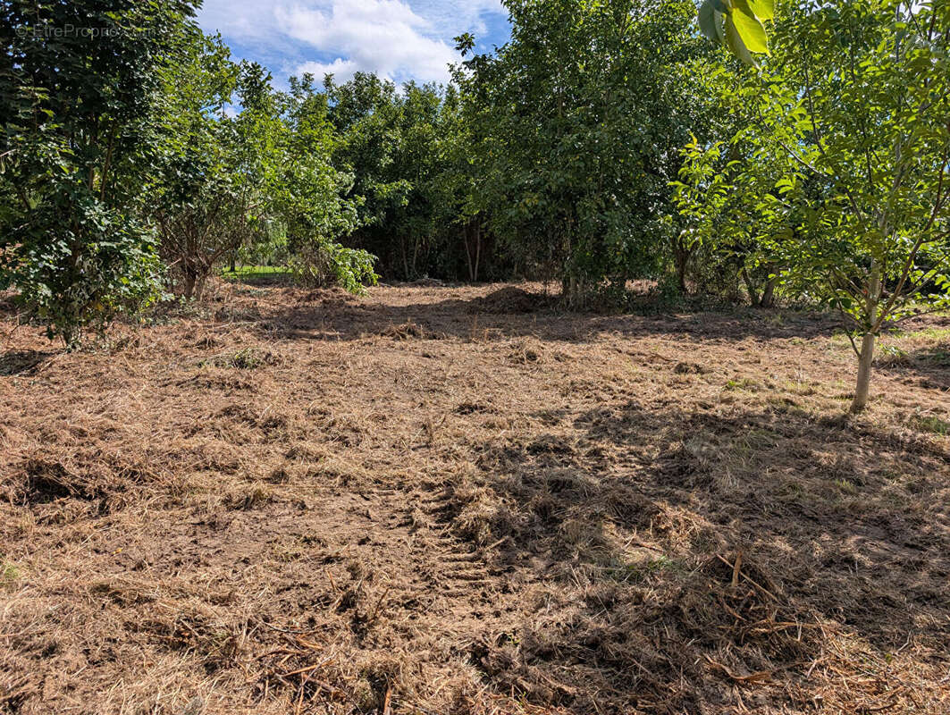 Terrain à NANTEUIL-LES-MEAUX