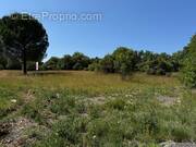 Terrain à SAUVE