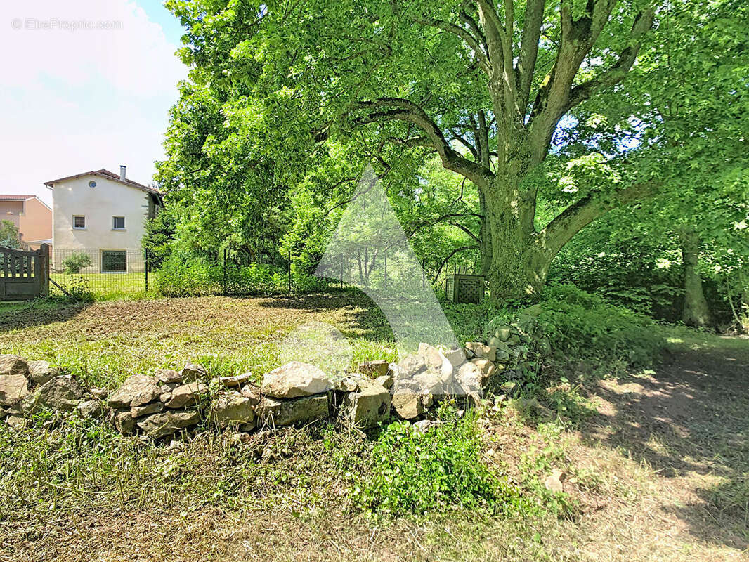 Maison à COISE
