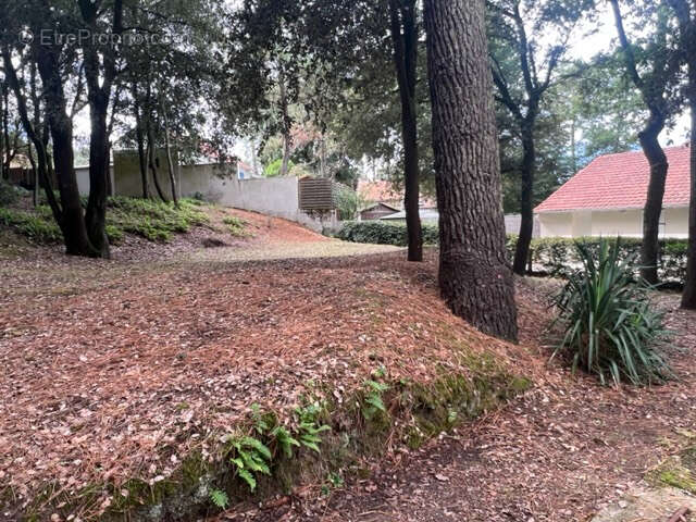 Terrain à SAINT-BREVIN-LES-PINS