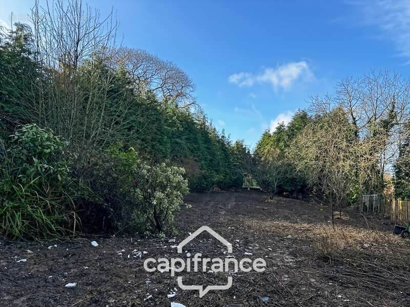 Longère en pierre à rénover avec dépendances et 6 000 m² de terrain - photo 13