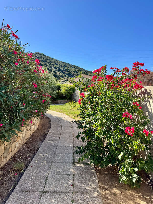 Villa 120 m2 vue mer proche Ile Rousse (Corse) - photo 19