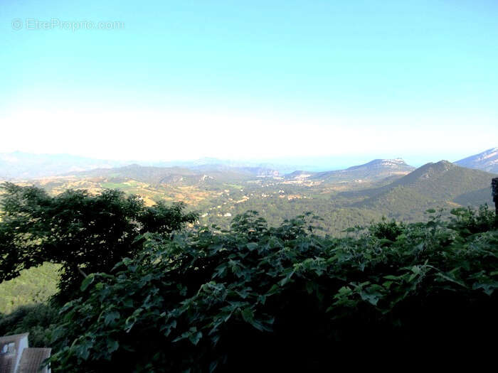 Terrain à OLETTA