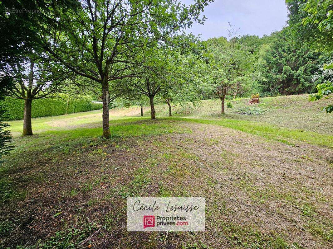 Terrain à SAINT-ANTOINE-LA-FORET