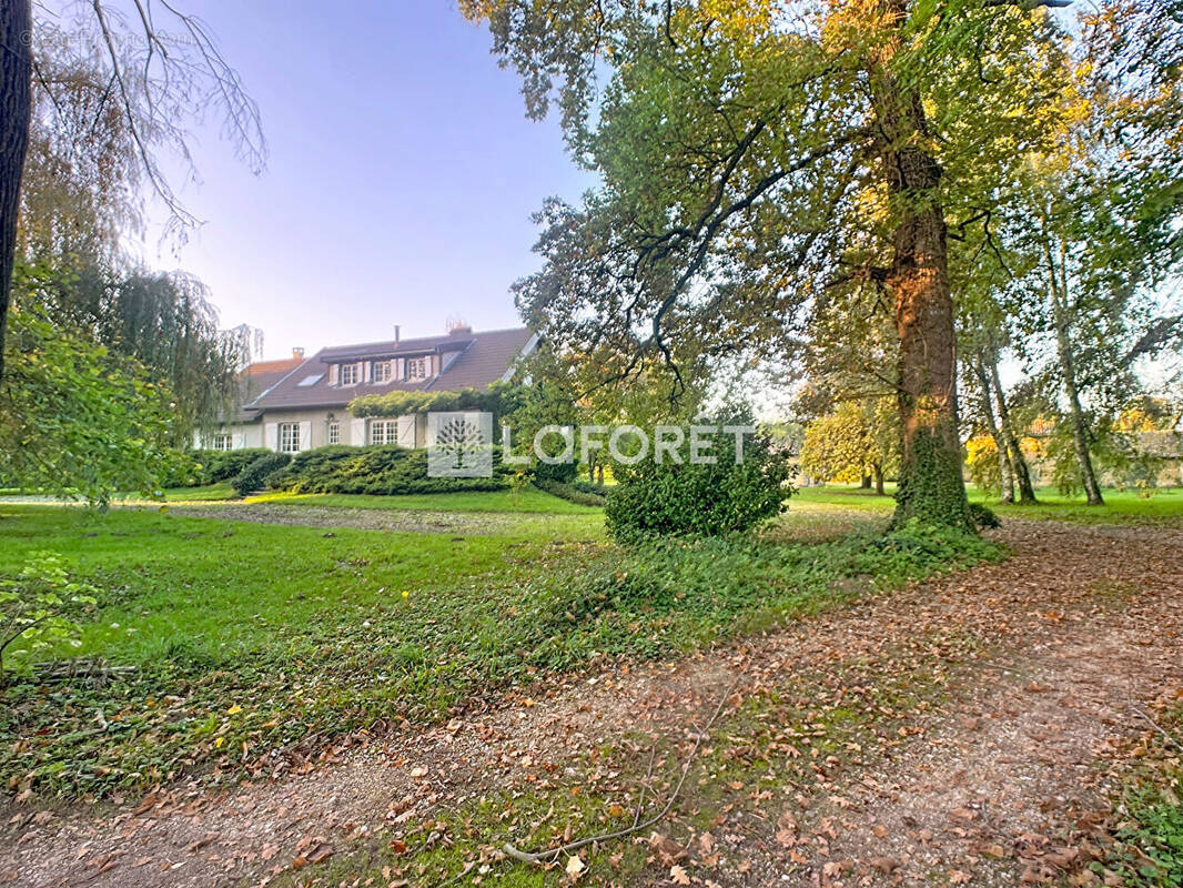 Maison à SAINT-DIDIER-SUR-CHALARONNE