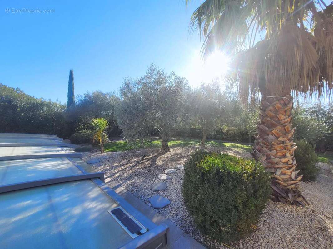 Photo 6 - Maison à SAINT-SIFFRET