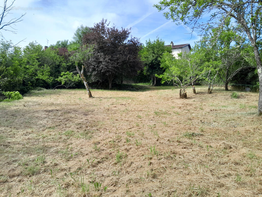 Terrain à SAVIGNAC