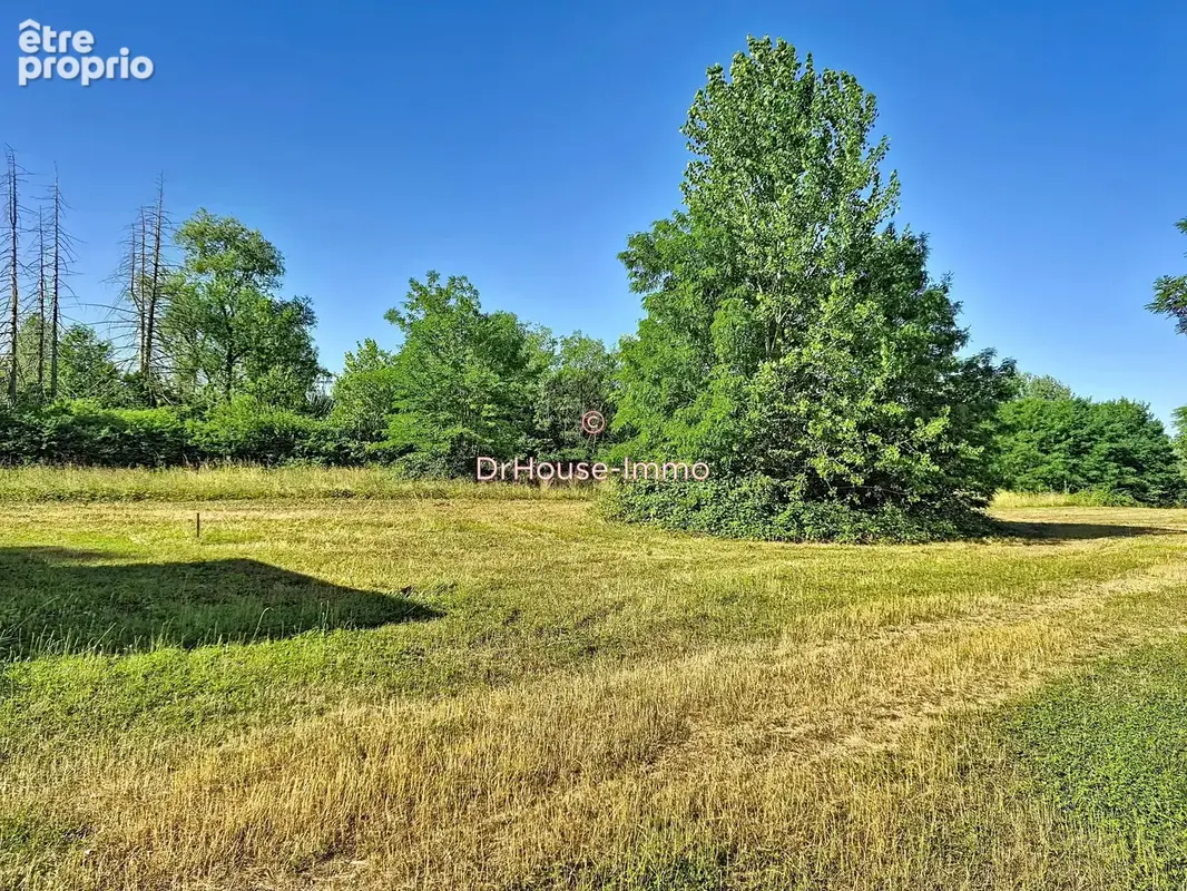 Terrain 23 052 m² à vendre à Chichery (89400) - photo 27
