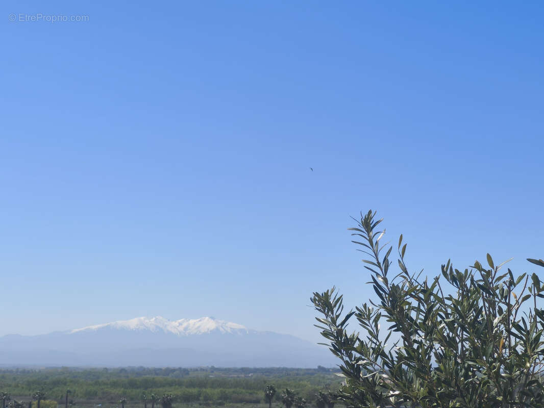 Appartement à CANET-EN-ROUSSILLON