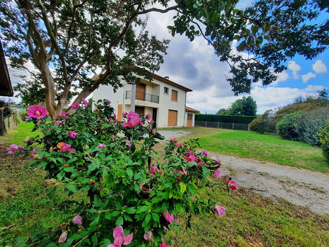 Maison à SAINT-JEAN-DE-MARSACQ