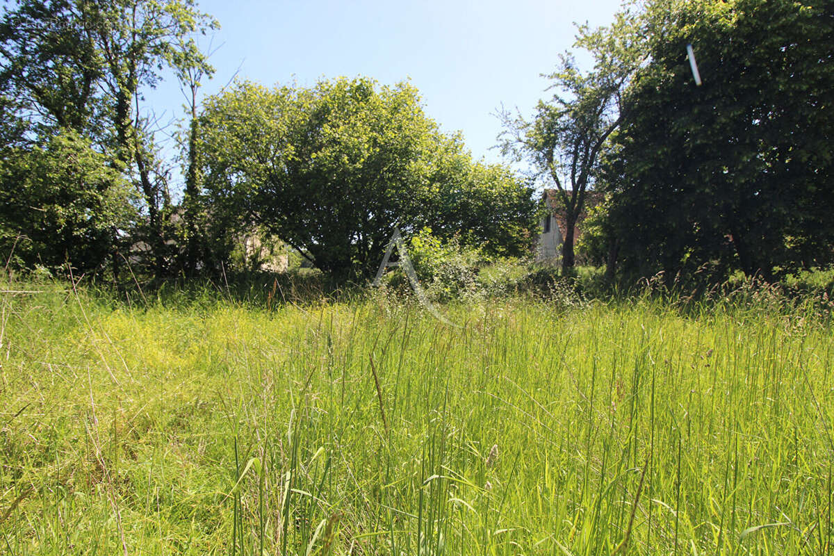 maison/grange  a restaurer - photo 10