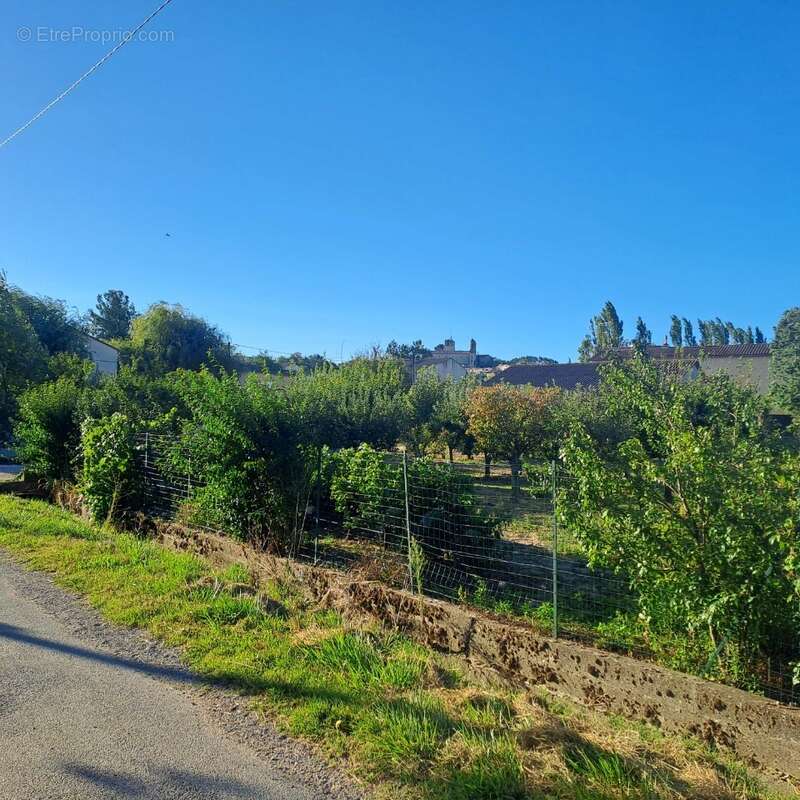 Terrain à RIANS