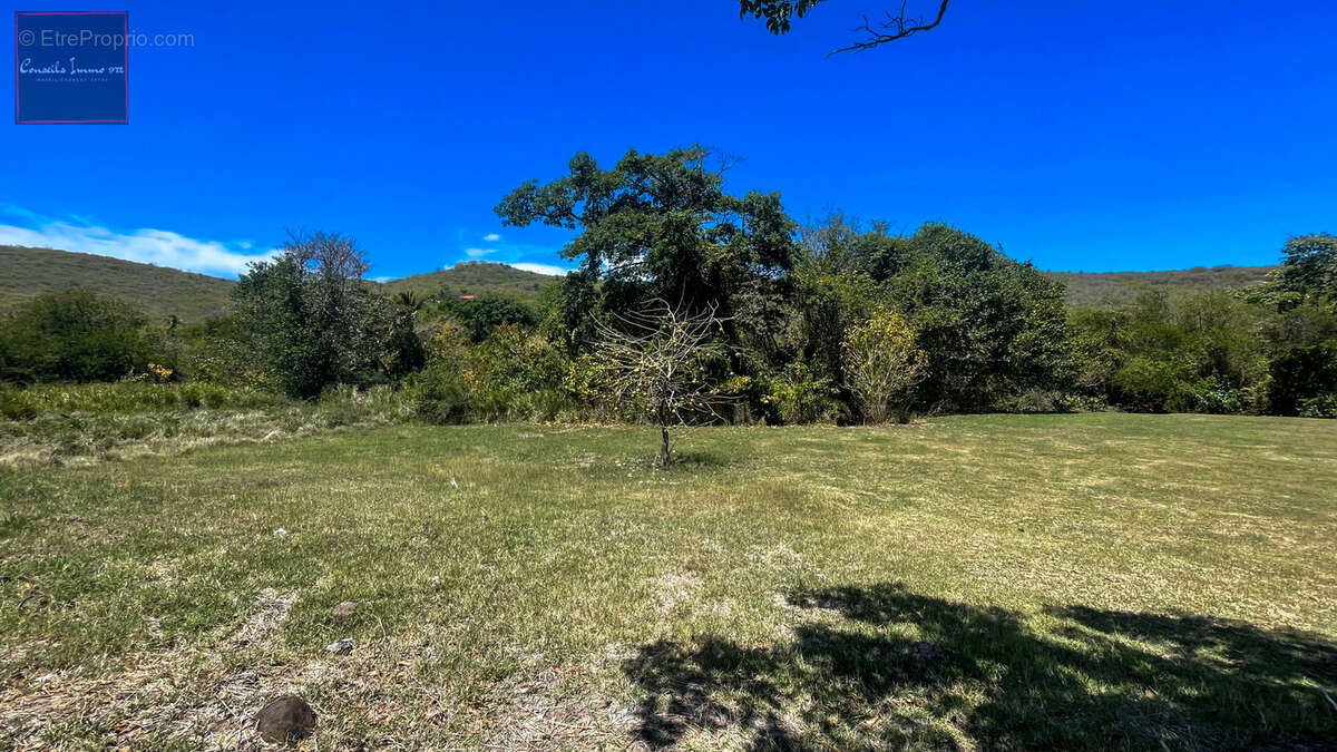Terrain de 1 090 m2 à vendre - Sainte-Anne - photo 7