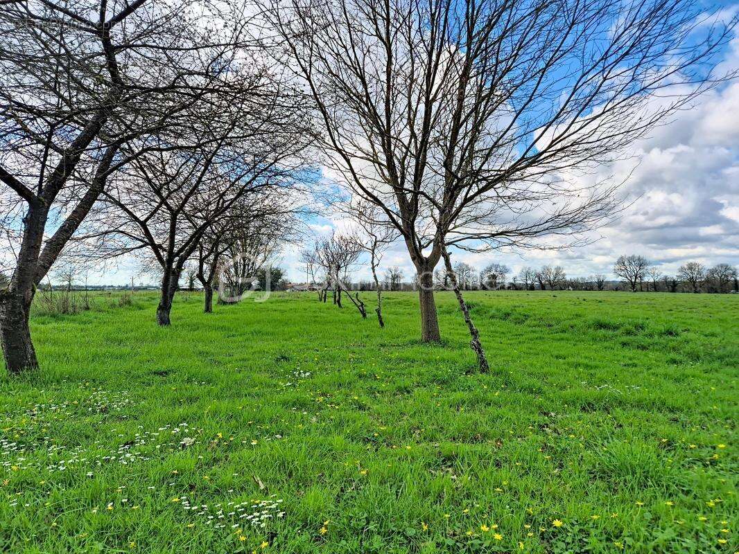 Maison à CASTELSARRASIN