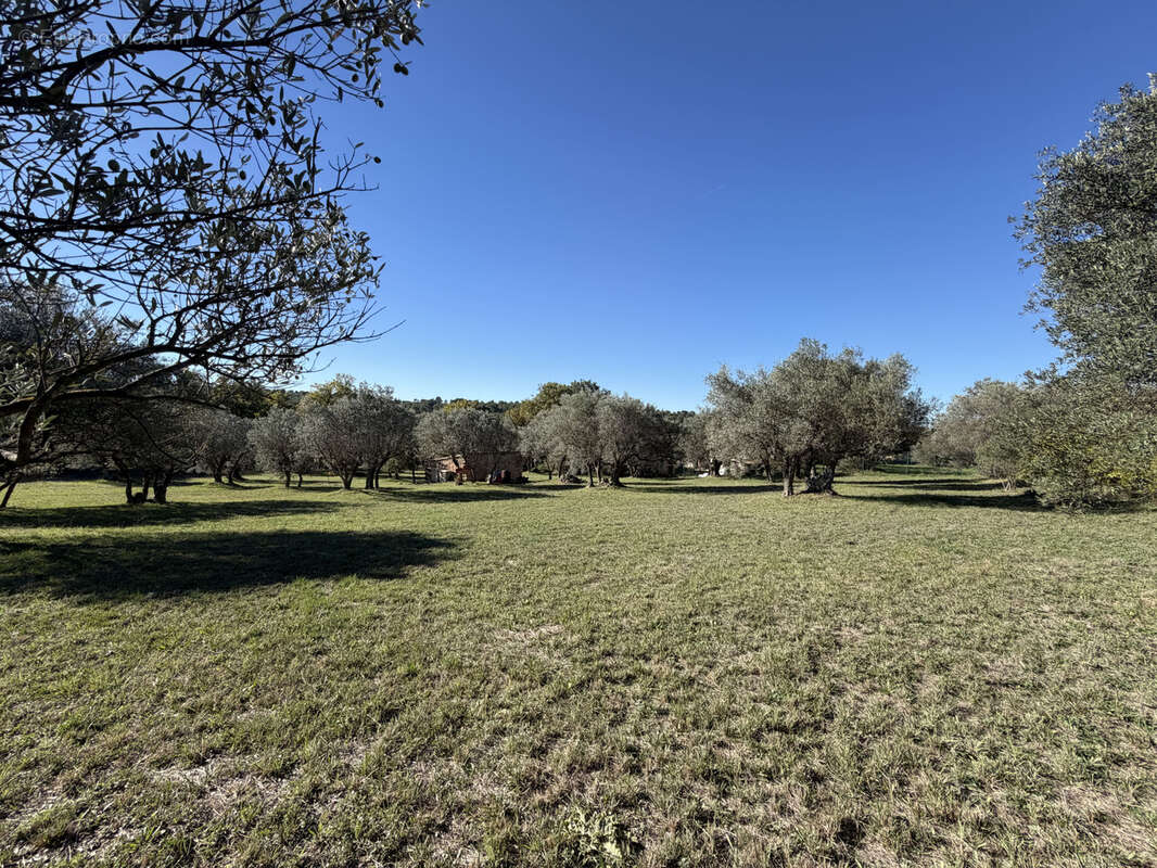 Terrain à MOISSAC-BELLEVUE