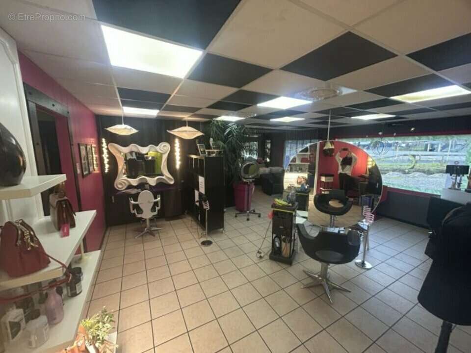 Commerce à SAINT-ALBAN-DE-MONTBEL