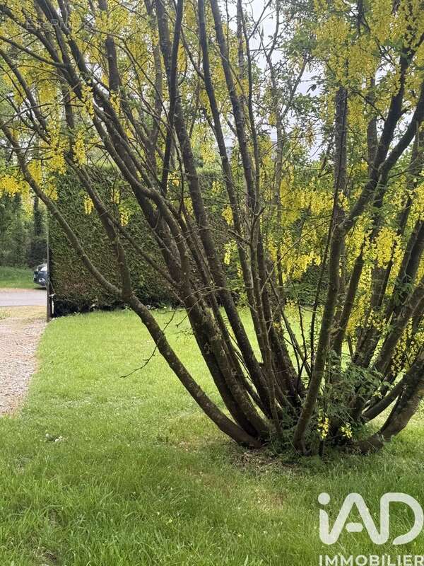 Photo 8 - Maison à LA ROUSSIERE