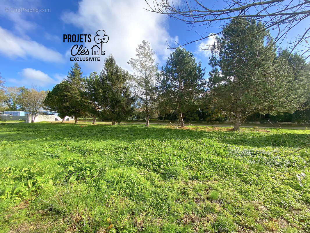 Terrain constructible de 348m2 centre-ville - photo 4