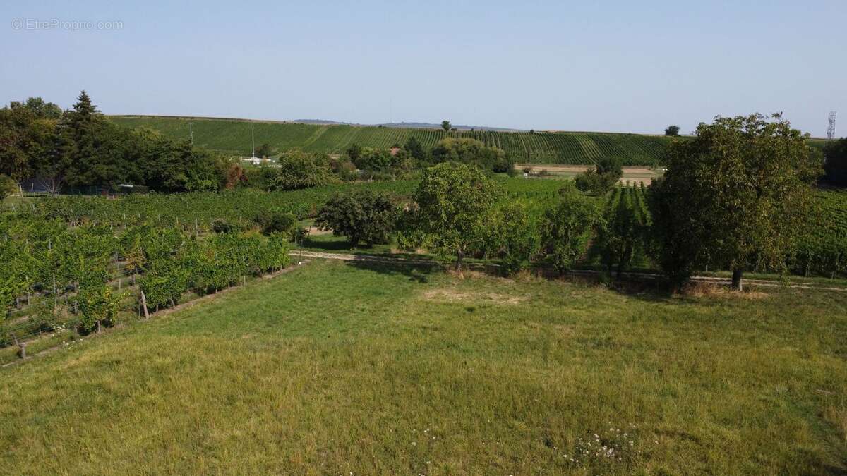Terrain à DAHLENHEIM