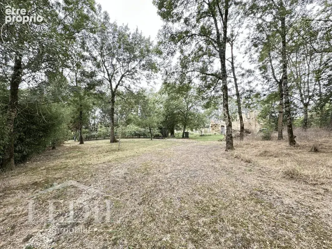 Magnifique terrain dans un milieu boisé - photo 5