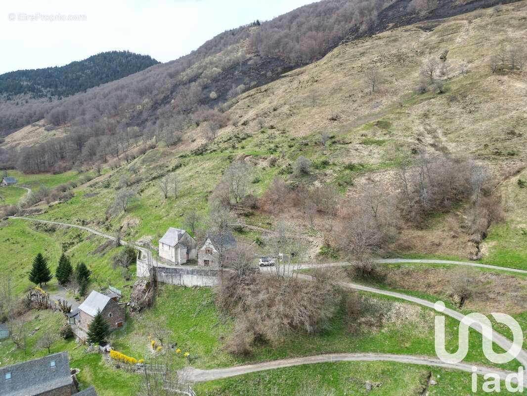 Photo 2 - Maison à BORCE