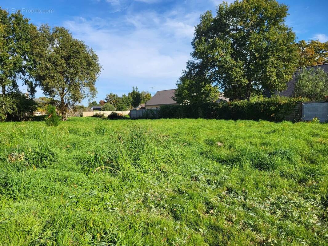 Terrain à SAINT-MOLF