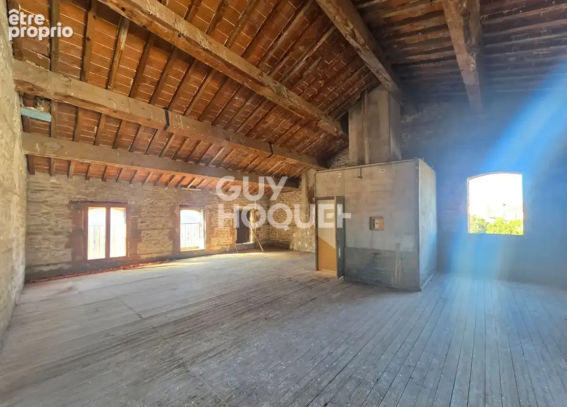 A VENDRE LE SOLER, maison de maître offrant plus de 300m² de surface avec cour et terrasses - photo 9