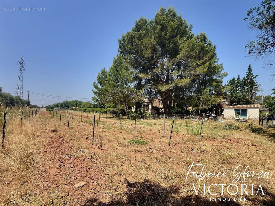 Maison à PUGET-VILLE