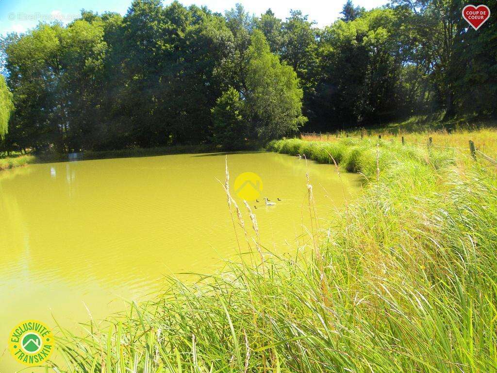 Terrain à SAVIGNY-EN-SANCERRE