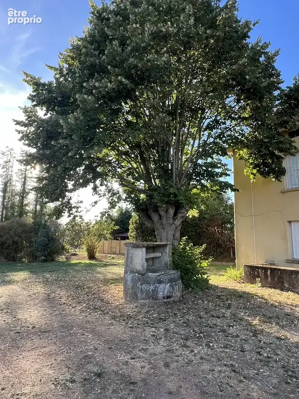 n°14