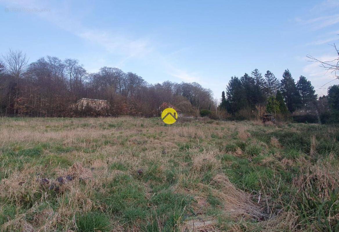 Terrain à BEAURAINVILLE