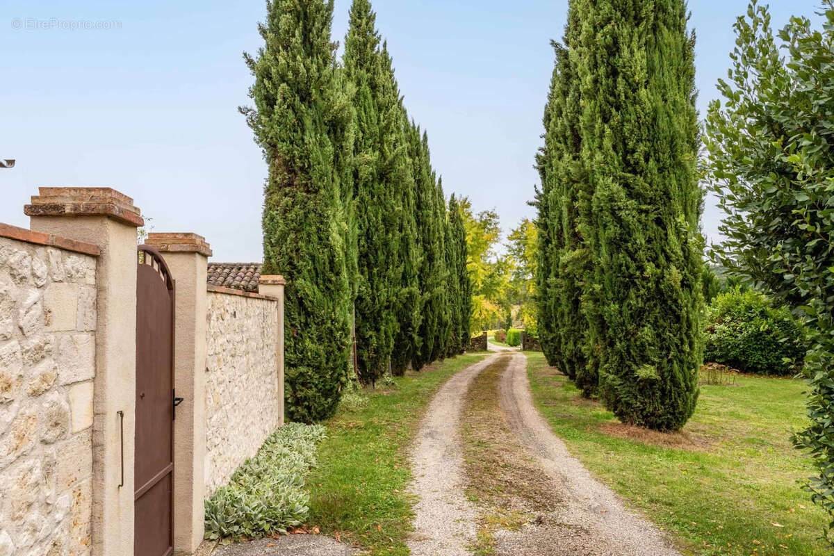 Country property with gites, 2 pools, atelier - photo 26