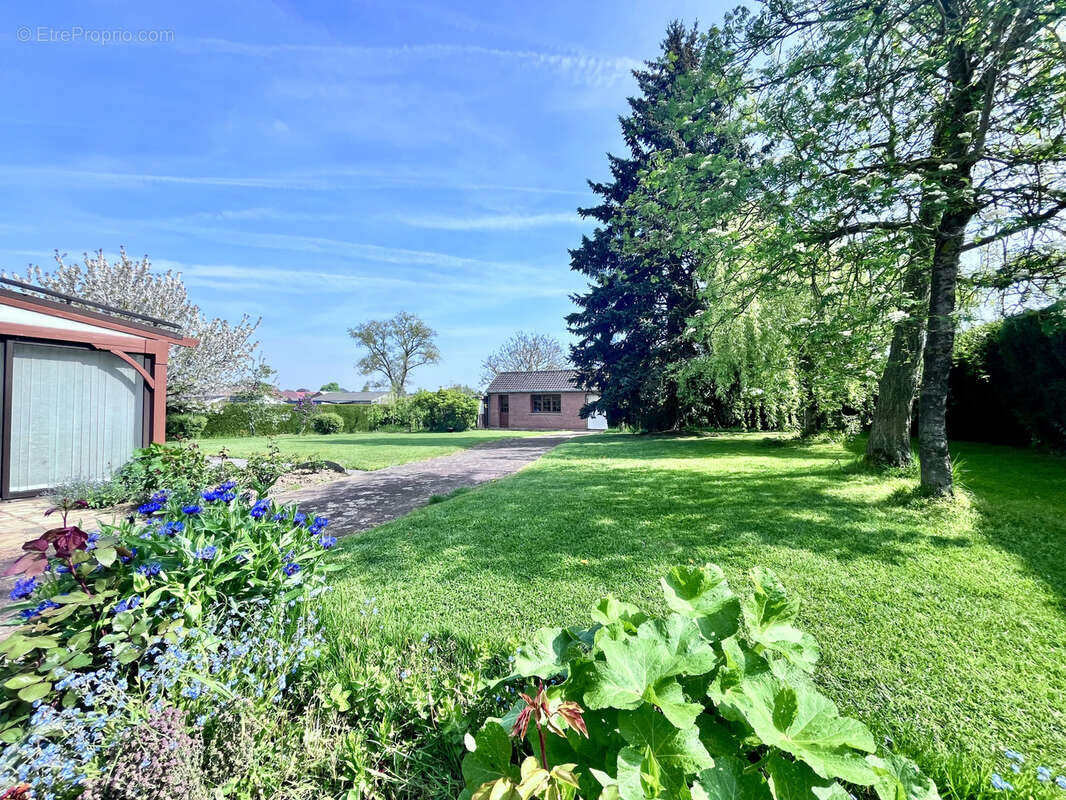 Maison à STEENVOORDE