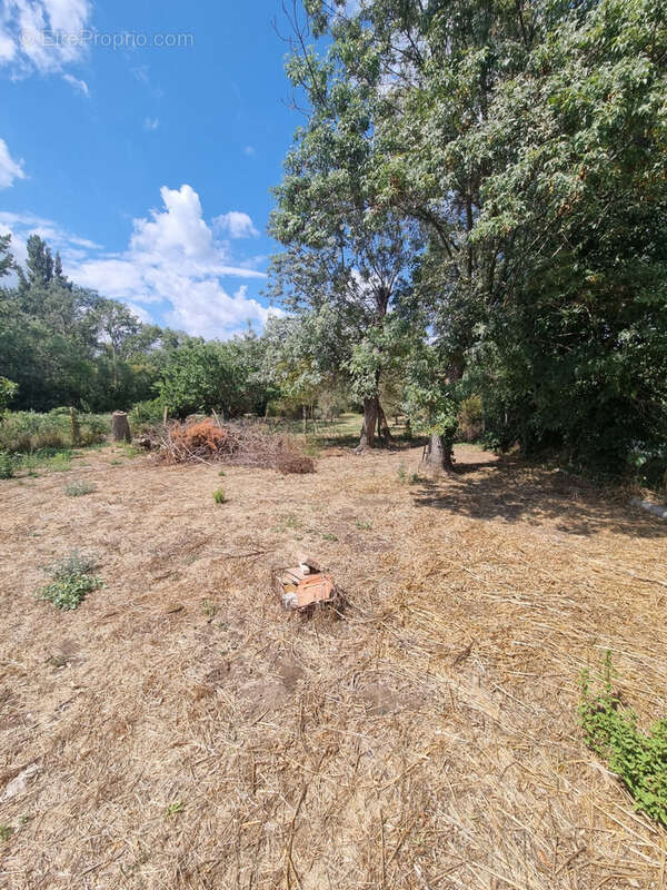 Mas à raphele - photo 25