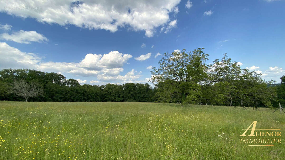 Propriété équestre d'exception sur 42 hectares - vue panoramique et tranquillité absolue! - photo 17