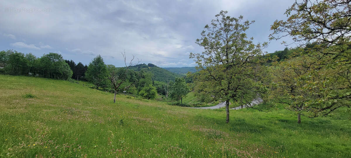 Terrain à ALBIGNAC