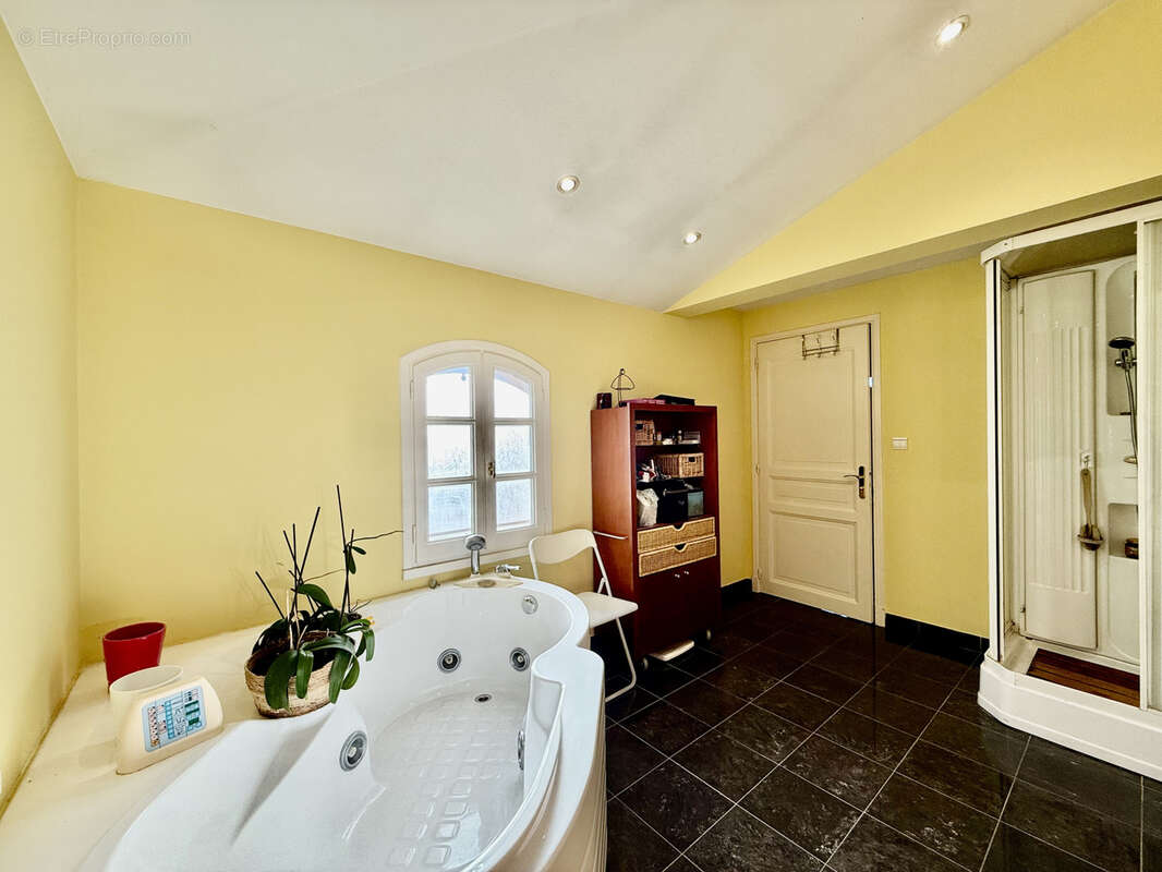 Maison Familiale de 252m2 sur un grand Terrain de 2000m2 Cugnaux 31270 - photo 13