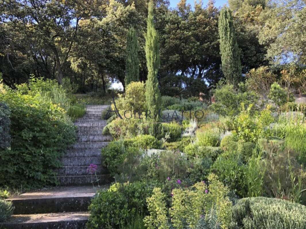 Maison à VAISON-LA-ROMAINE