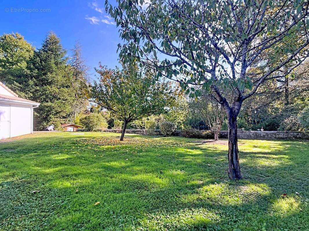 Maison à BUZET-SUR-TARN