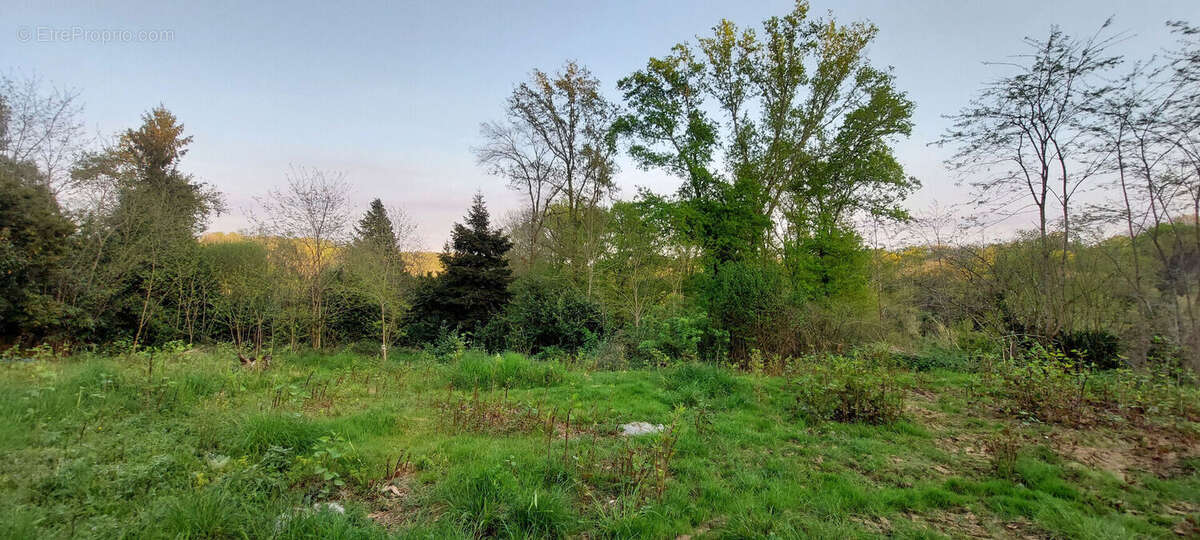 Terrain à SAINT-FAUST