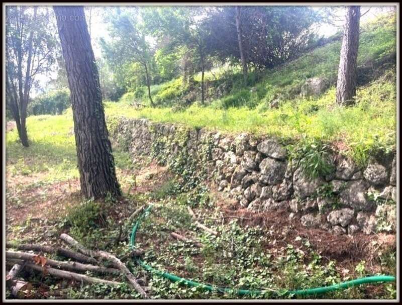 Terrain à GRASSE