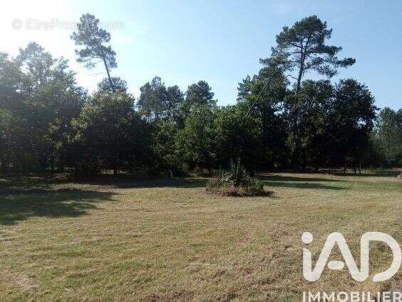 Photo 9 - Maison à ESCOURCE