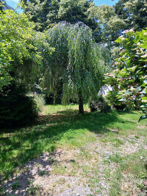 Maison à flanc de colline avec plus d'un hectare de terrain - photo 6