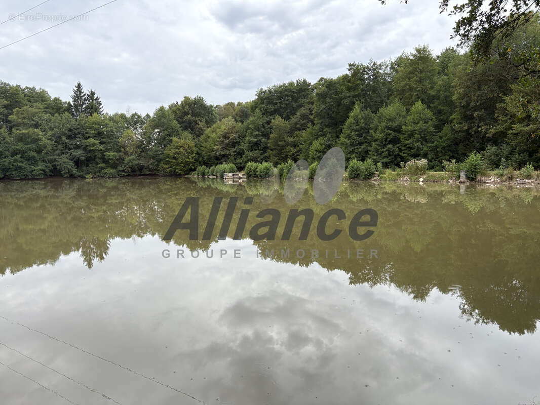 Etang  de  7  ha  50  d eau  entre  luxeuil  et  lure  avec  cabane  de  pecheur - photo 11