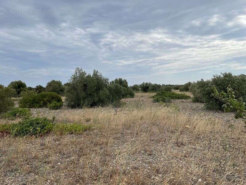 Terrain à SAINT-HIPPOLYTE