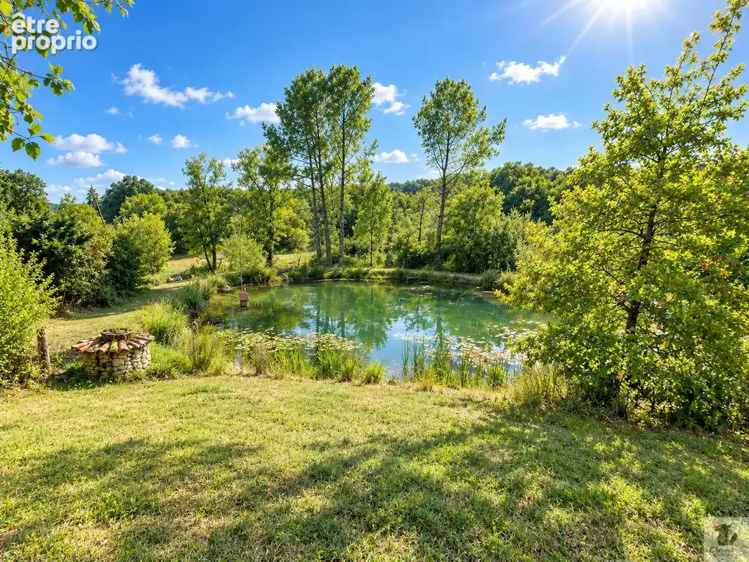 Propriété de charme avec gîte et piscine aux portes de Bergerac - photo 2