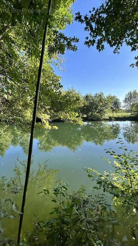 IMG2350 - Terrain à NIORT