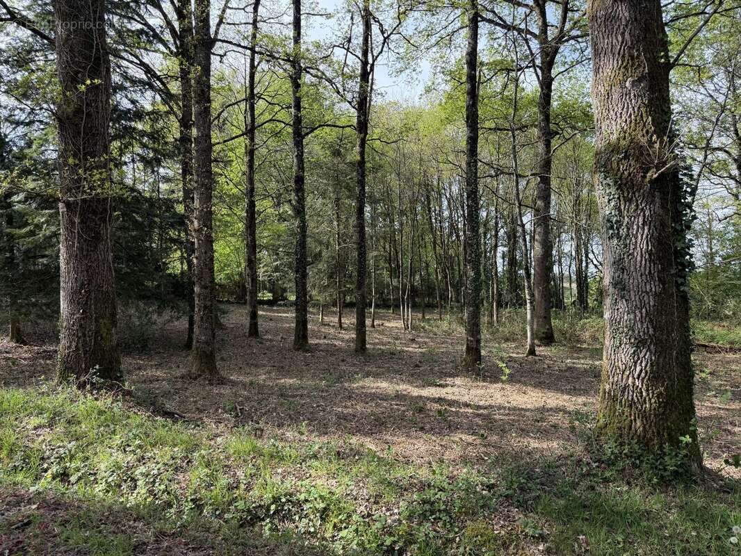 Terrain à PANCE